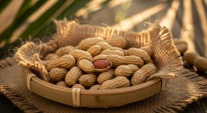 بادام زمینی آستانه اشرفیه کجاست؟ راهنمای جامع شناخت، یافتن و خرید این گنجینه گیلان